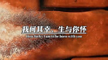 蝙蝠侠：阿甘骑士